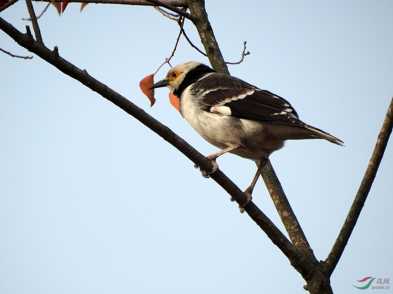 DSCN4568.jpg