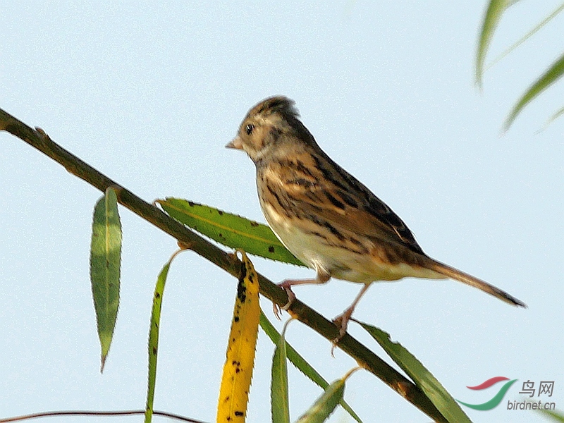 P3700951 - ����.JPG