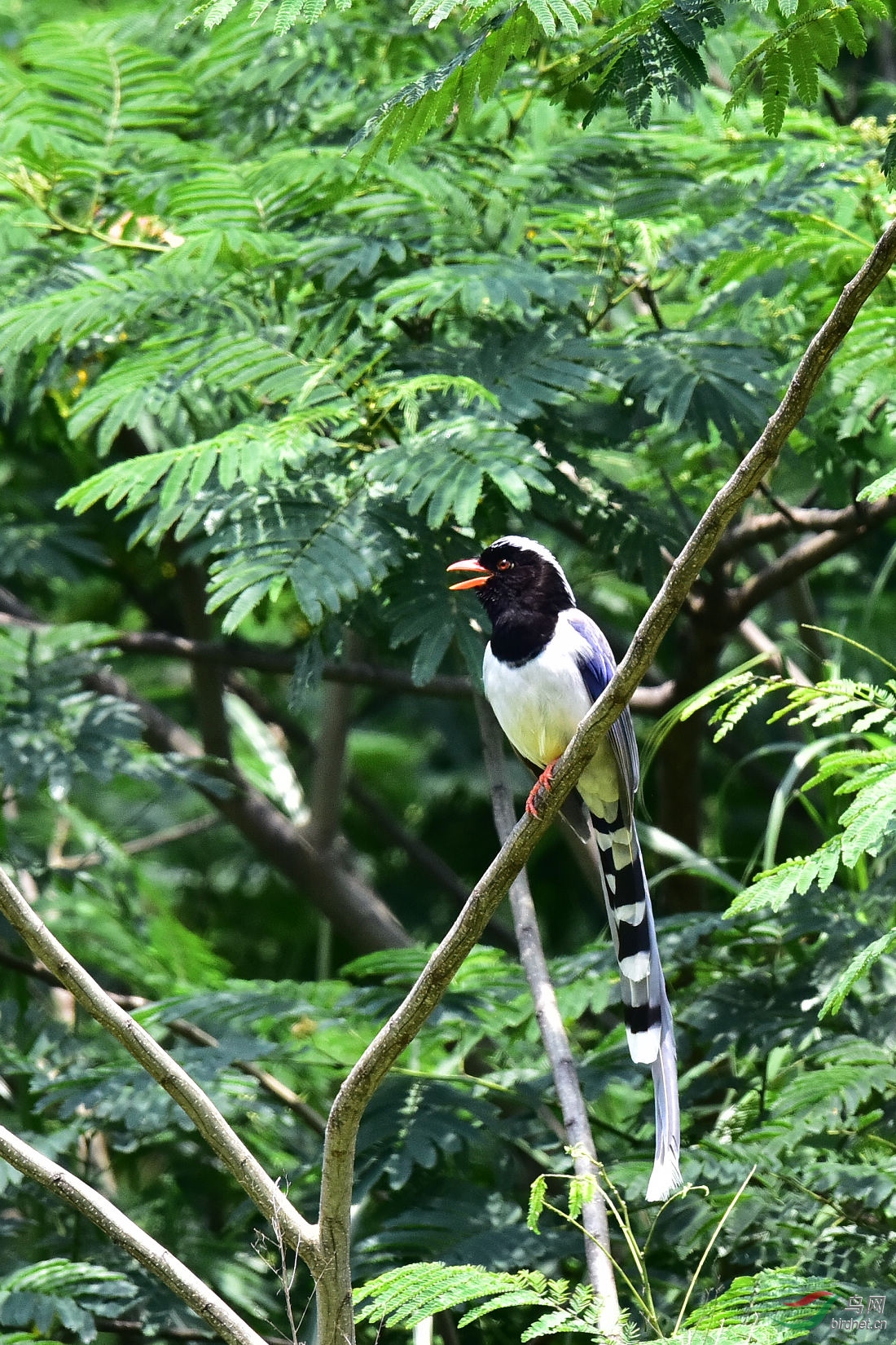 DSC_0693.JPG