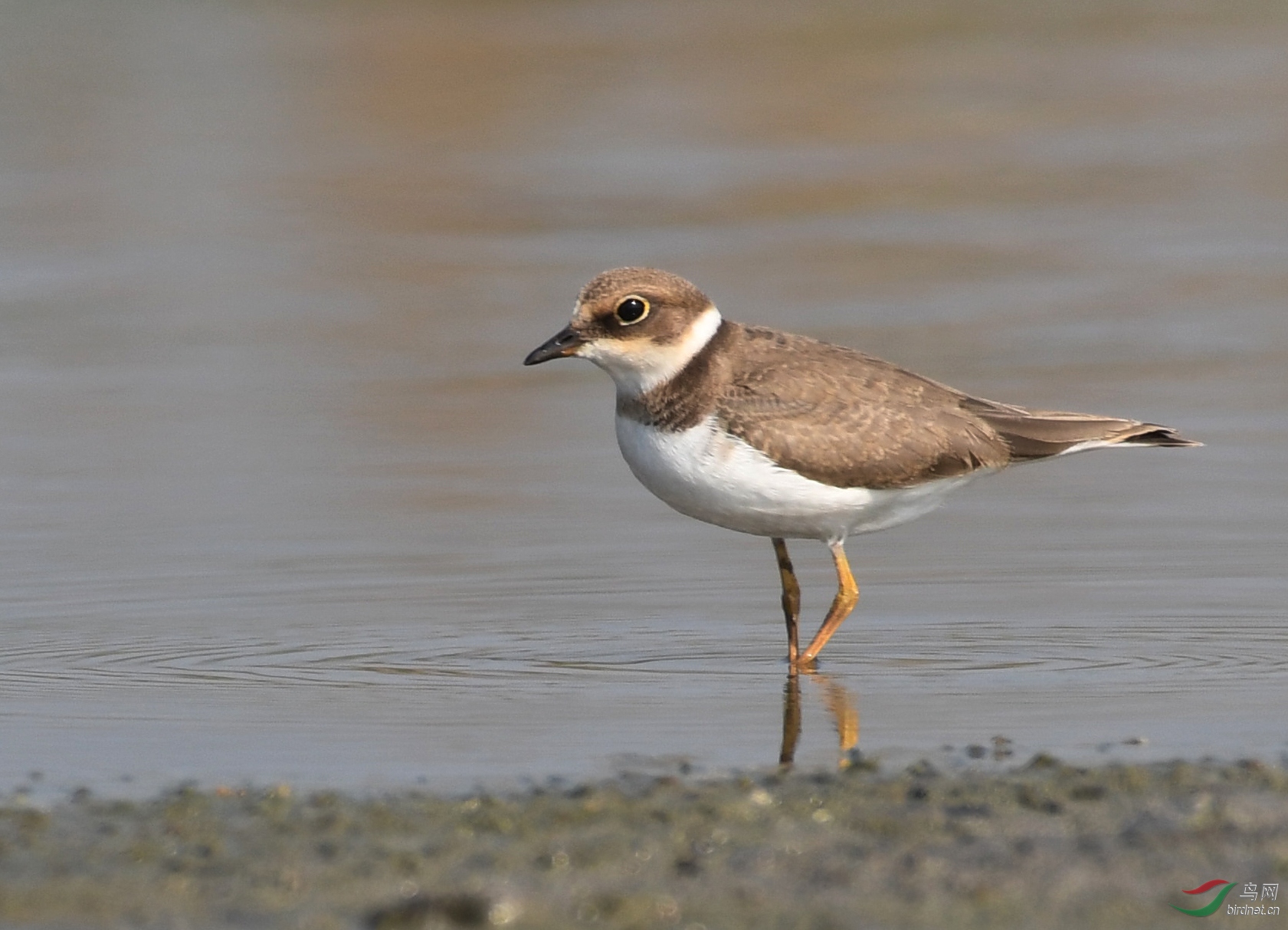 ������Ӱ 2982����.jpg