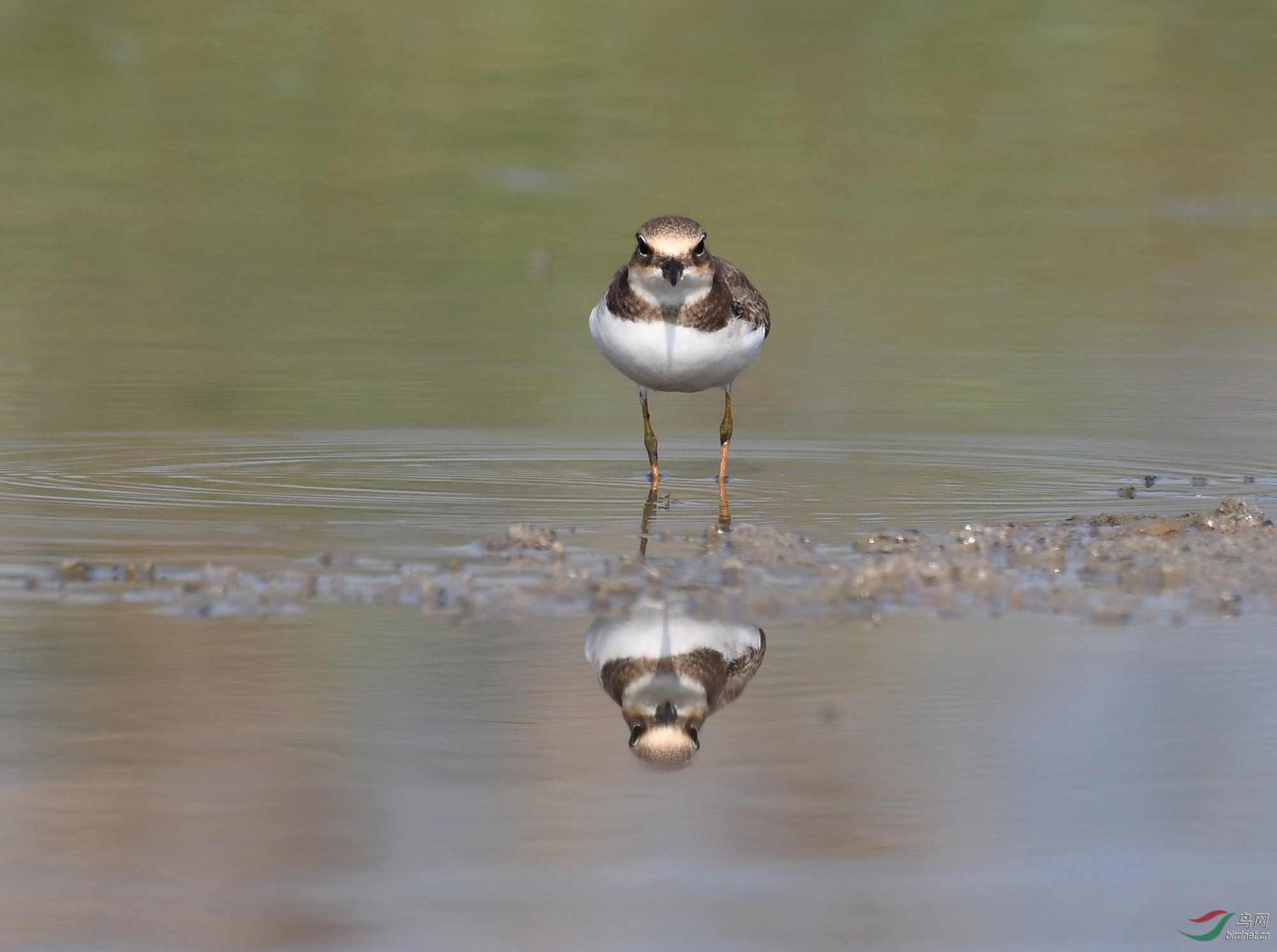 ������Ӱ 3068����.jpg