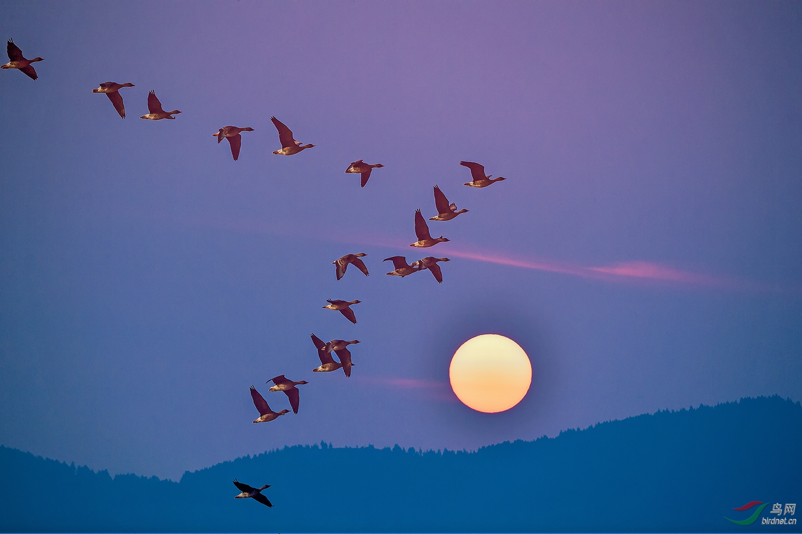 日出而作日落而息