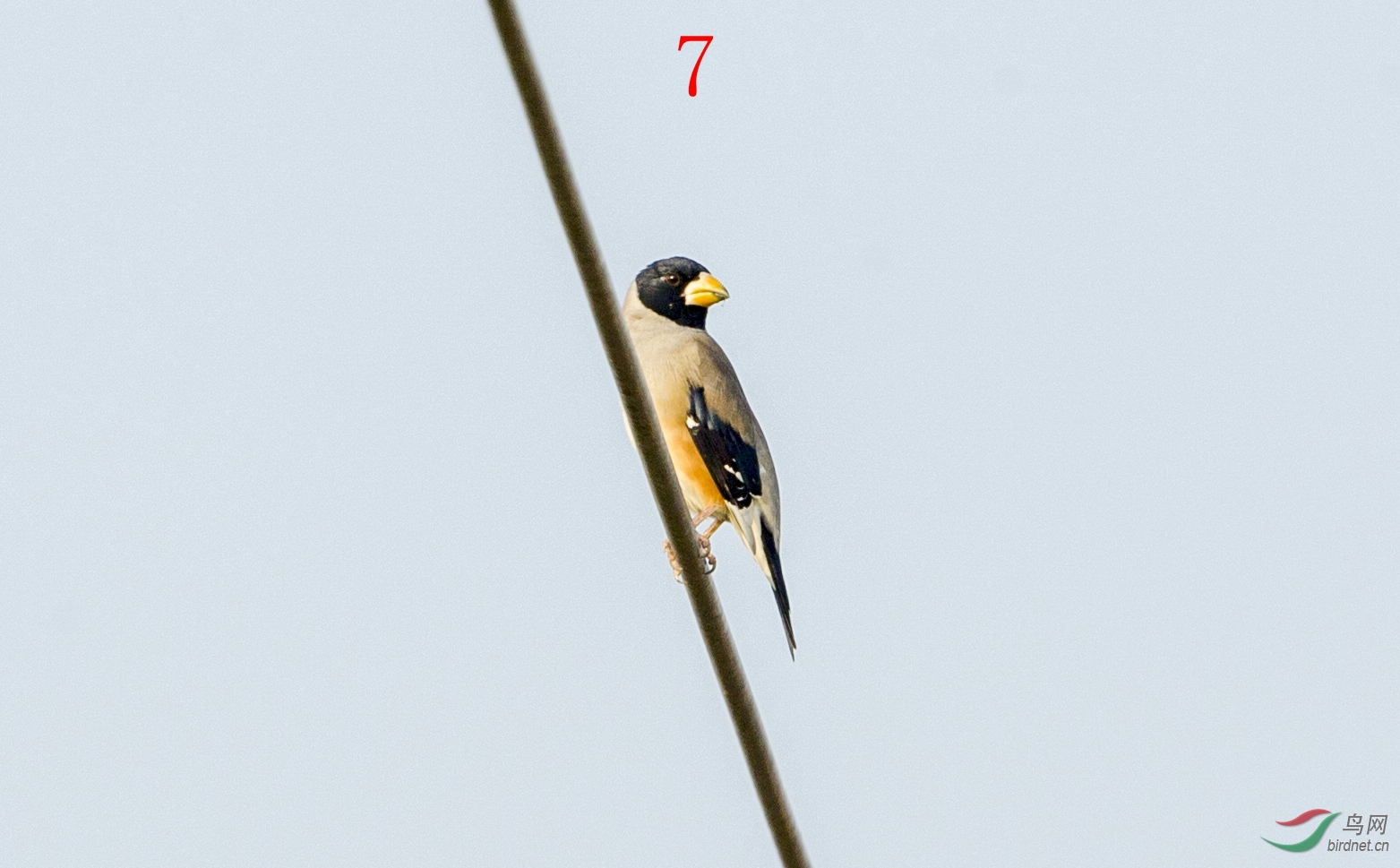 7HXZS0433.JPG