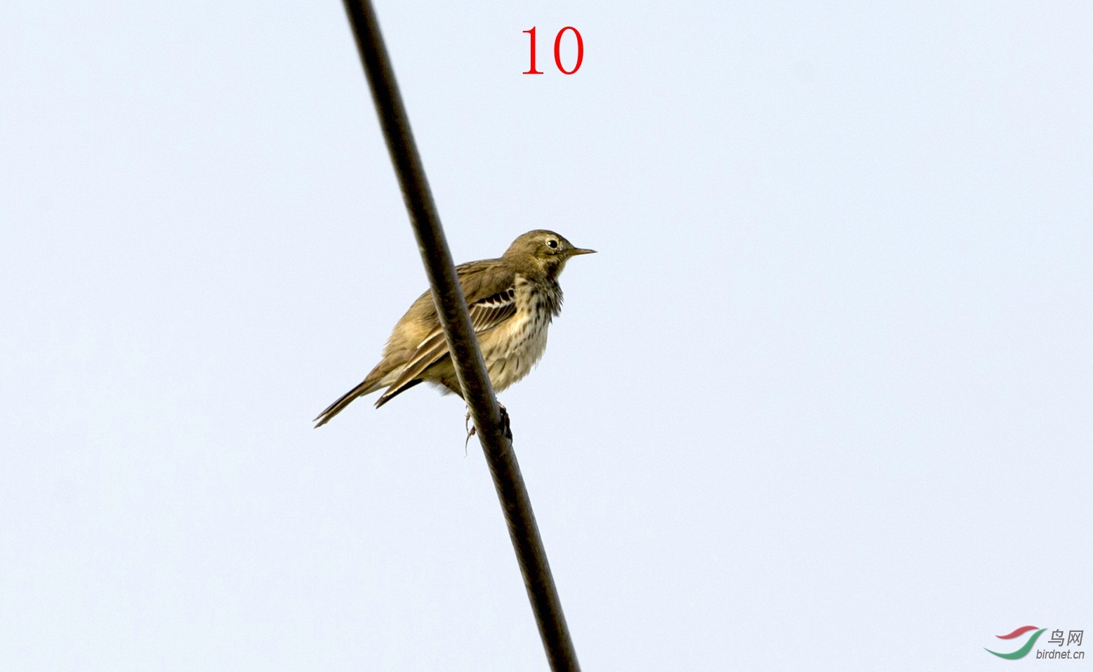 10HXZS0616.JPG
