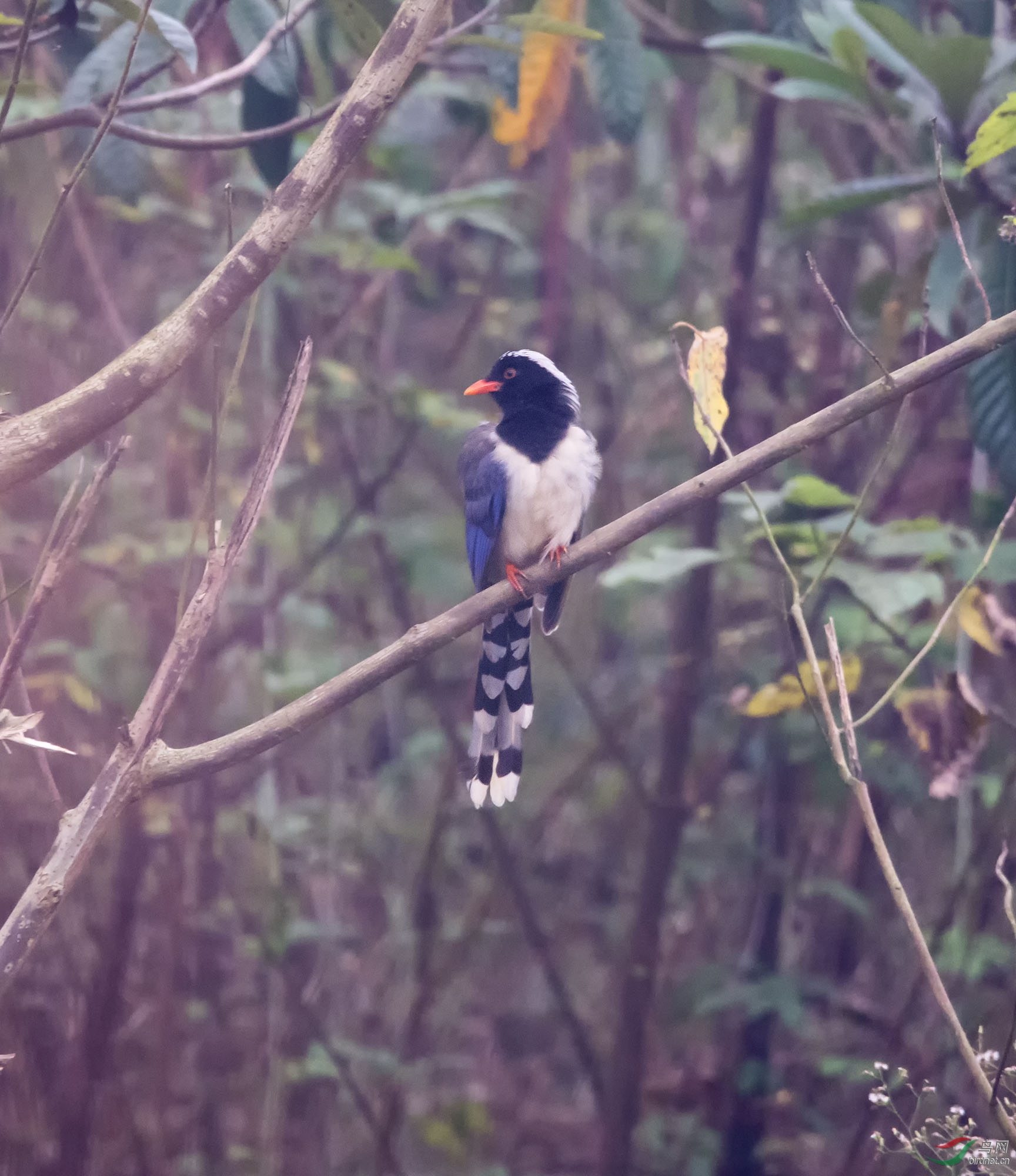 DSC_4149.jpg