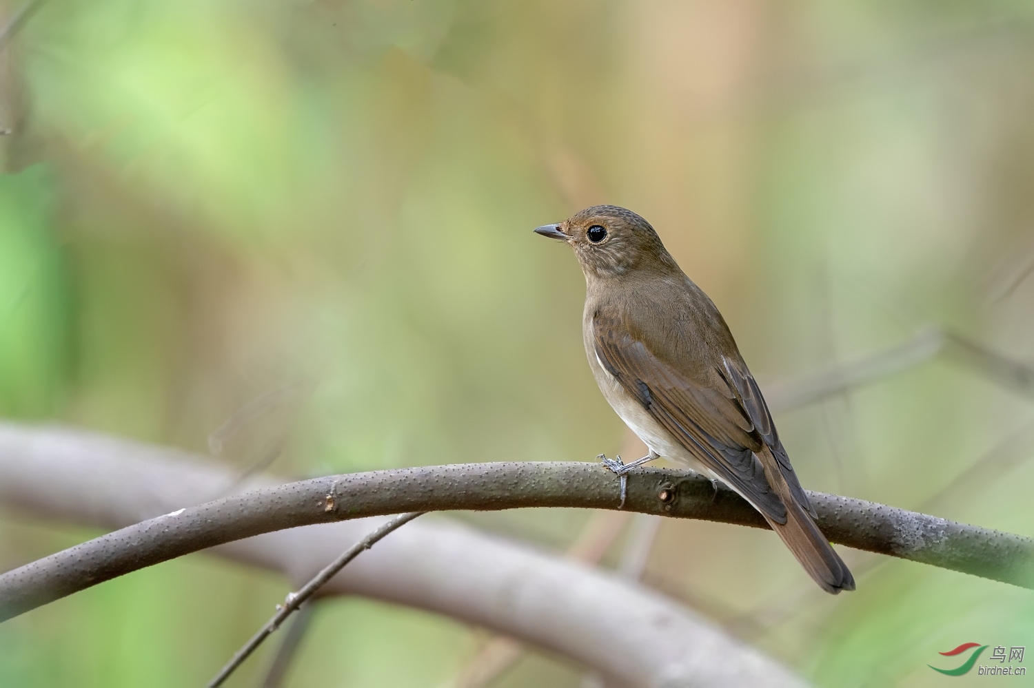 A9D01450a.jpg