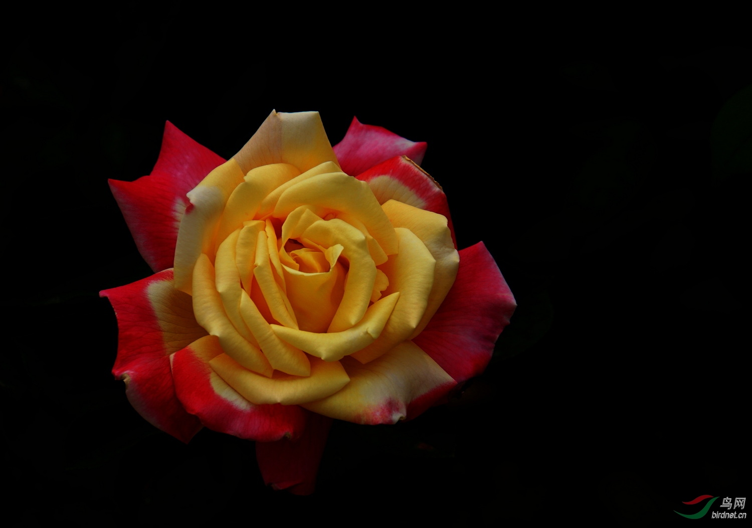 DSC01078.JPG