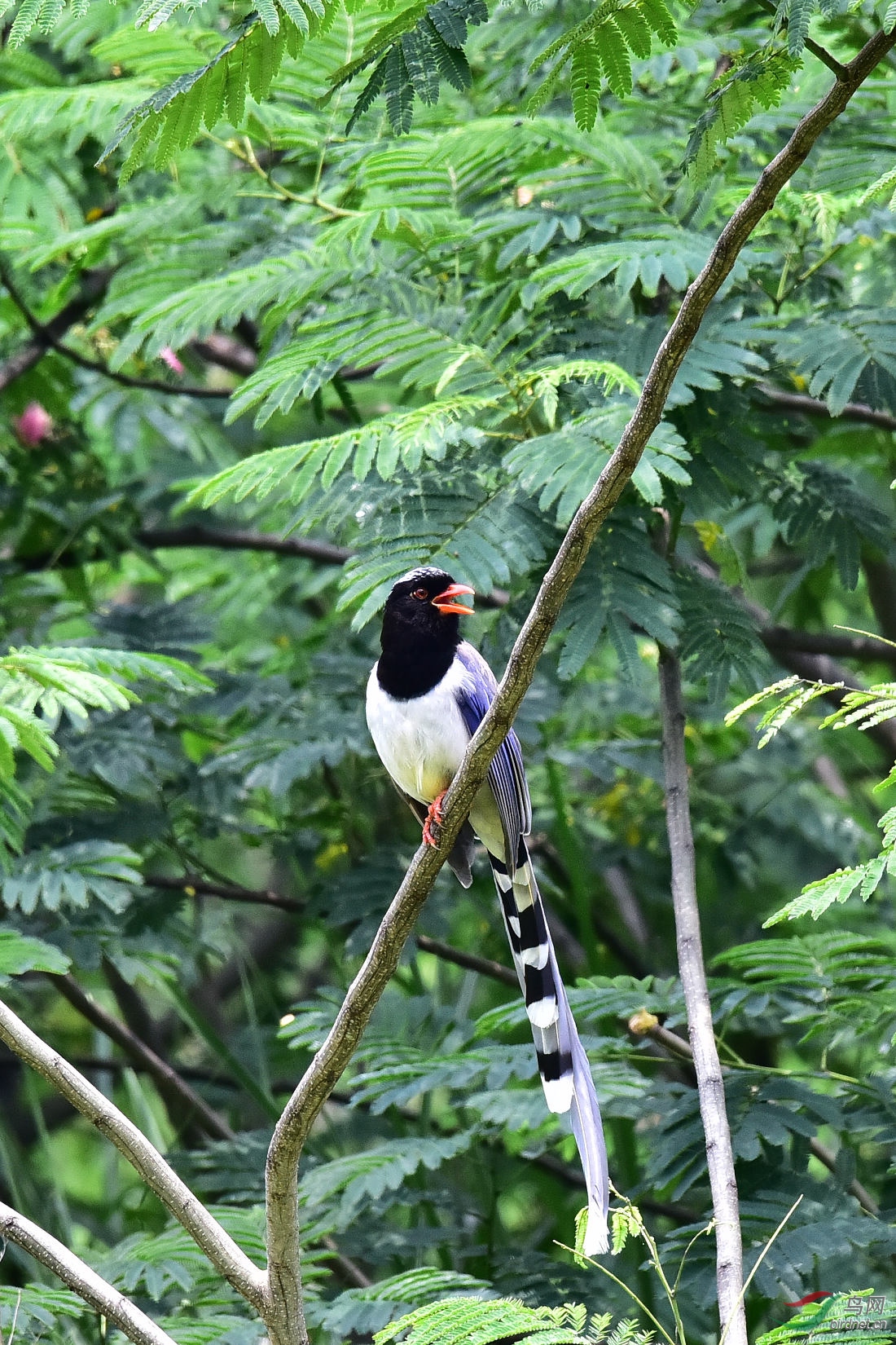 DSC_0695.JPG