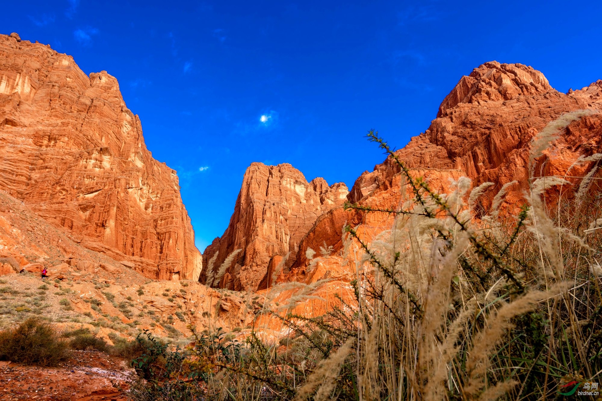 天山南麓的雅丹地貌!