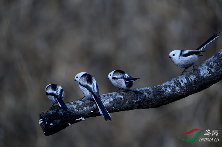 _DSC4505_00001_����.jpg