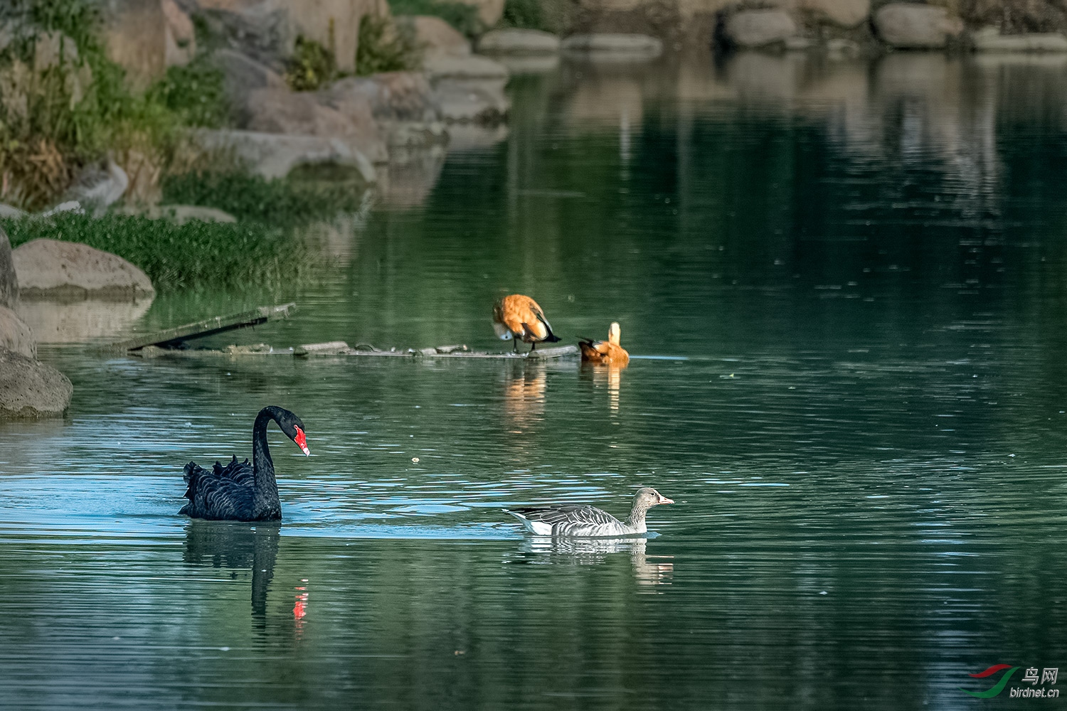 _DSC3285-2.jpg