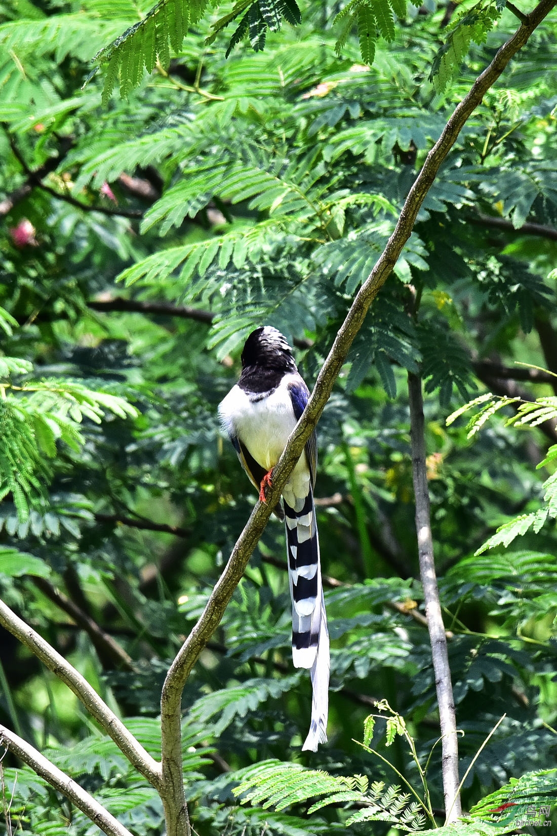 DSC_0699.JPG