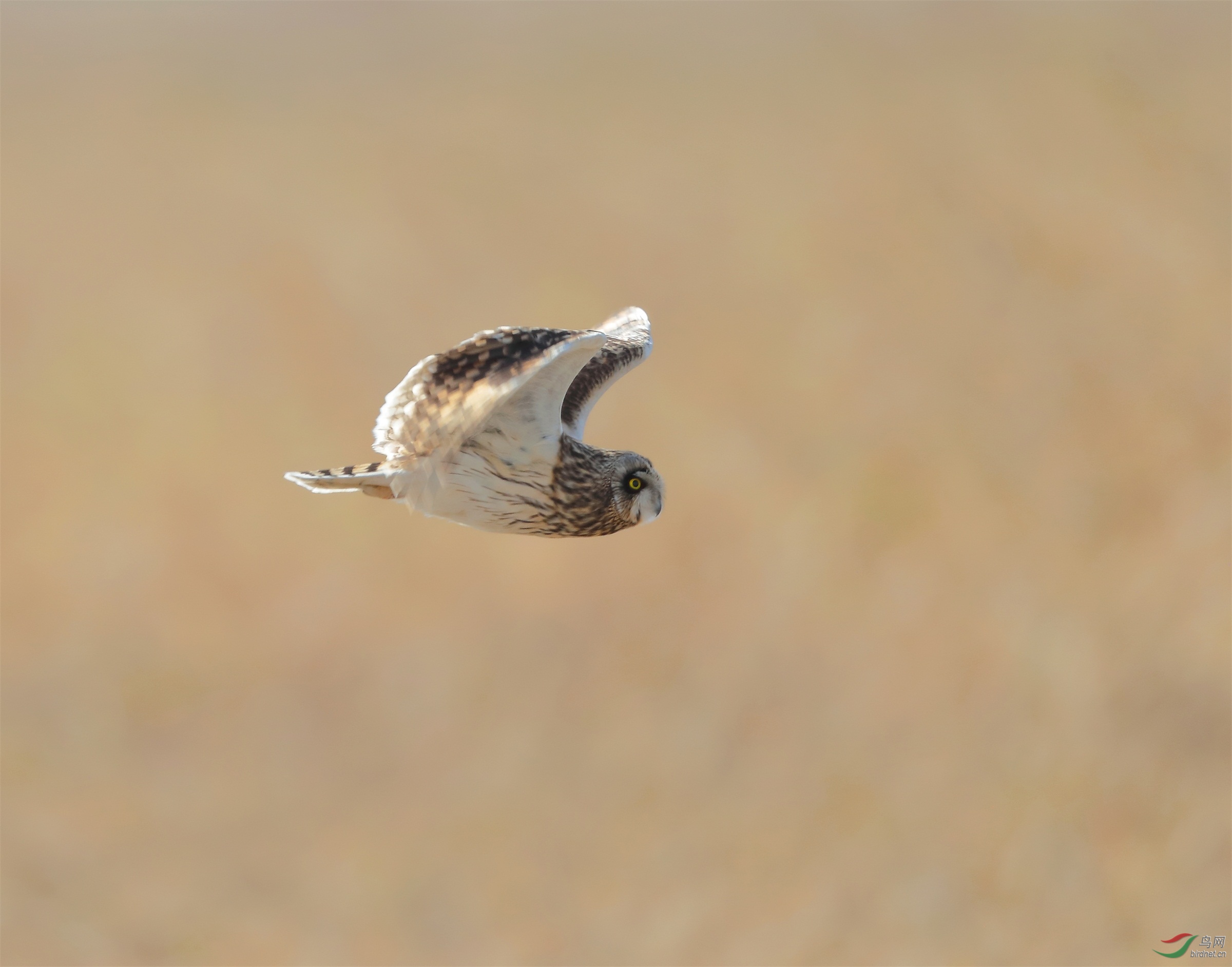 1 - ����.JPG