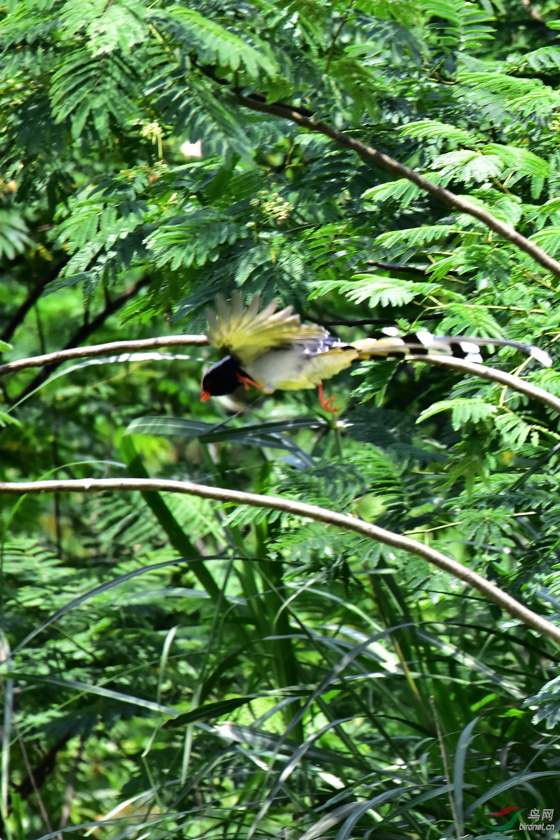 DSC_0702.JPG