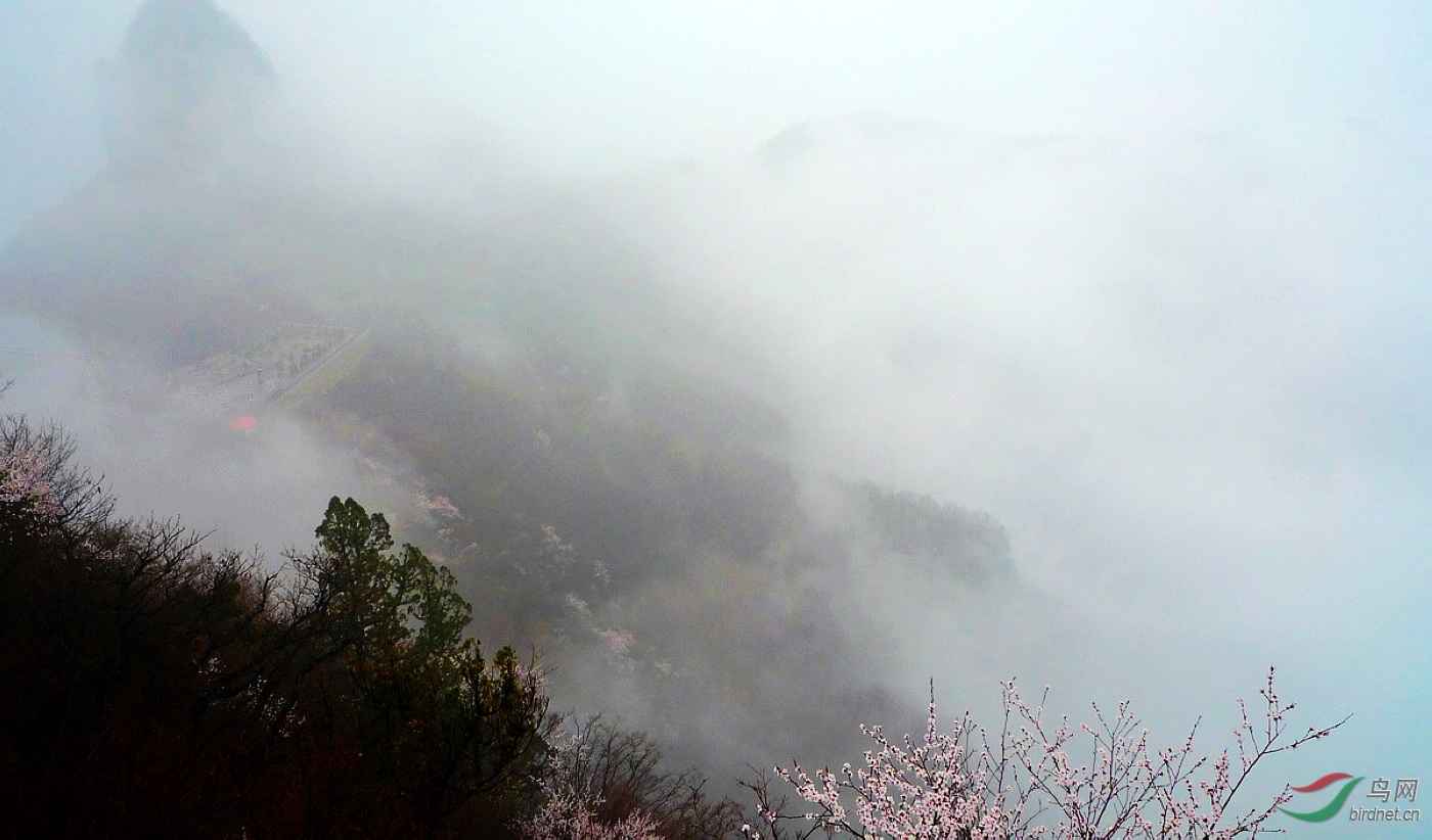 L1020831.JPG