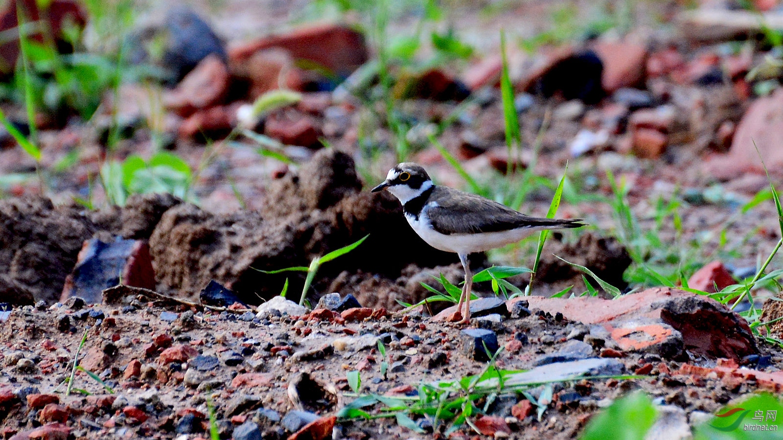 DSC_3593.JPG