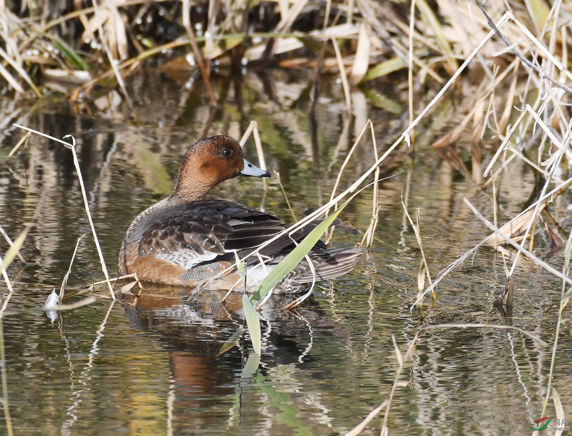 ������Ӱ 417����.jpg