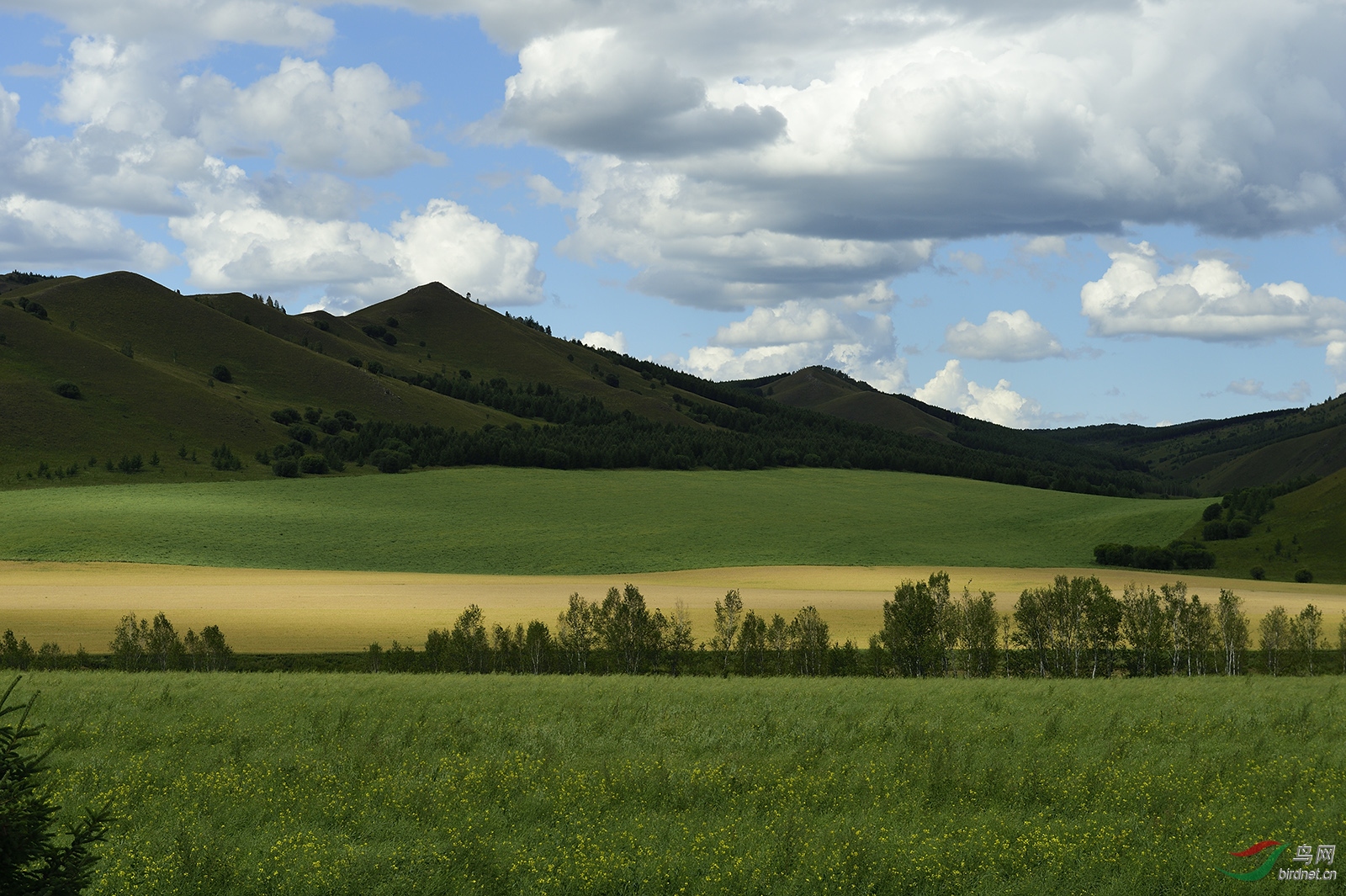 _DSC7380_11769a.jpg