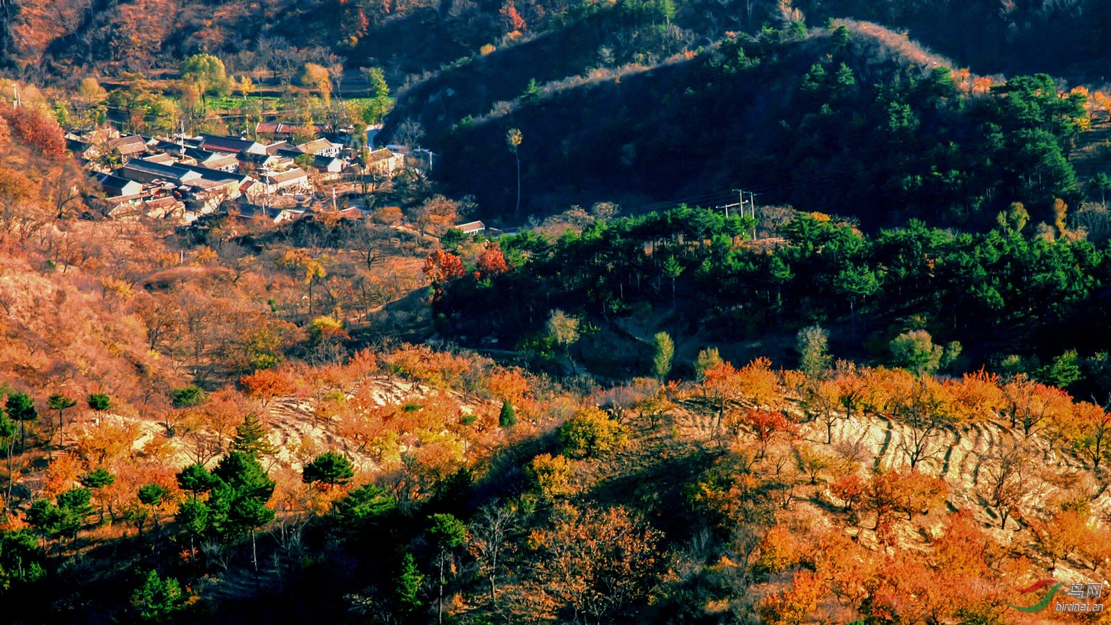 DSC_0377_����.jpg