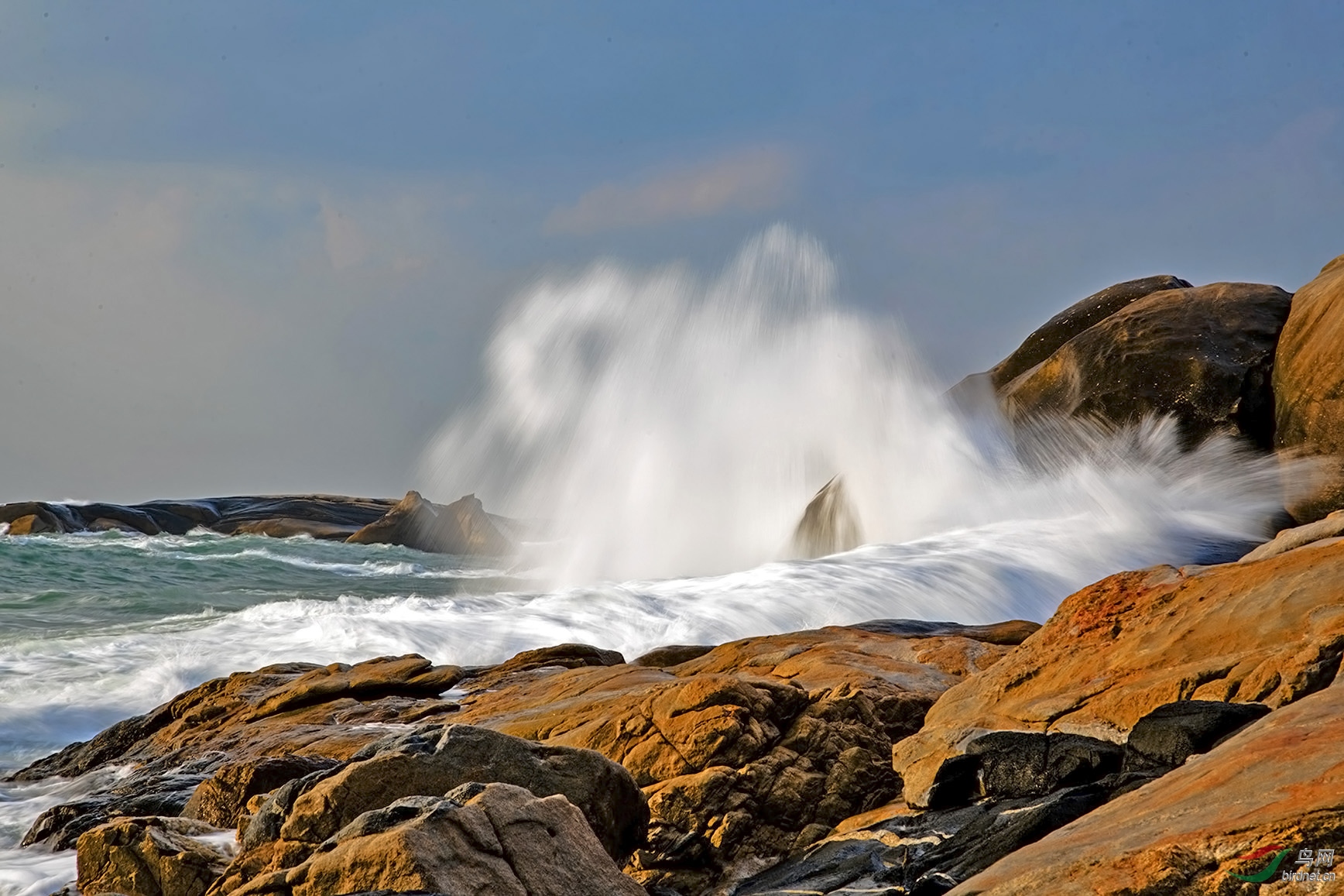 DSC_1295.jpg