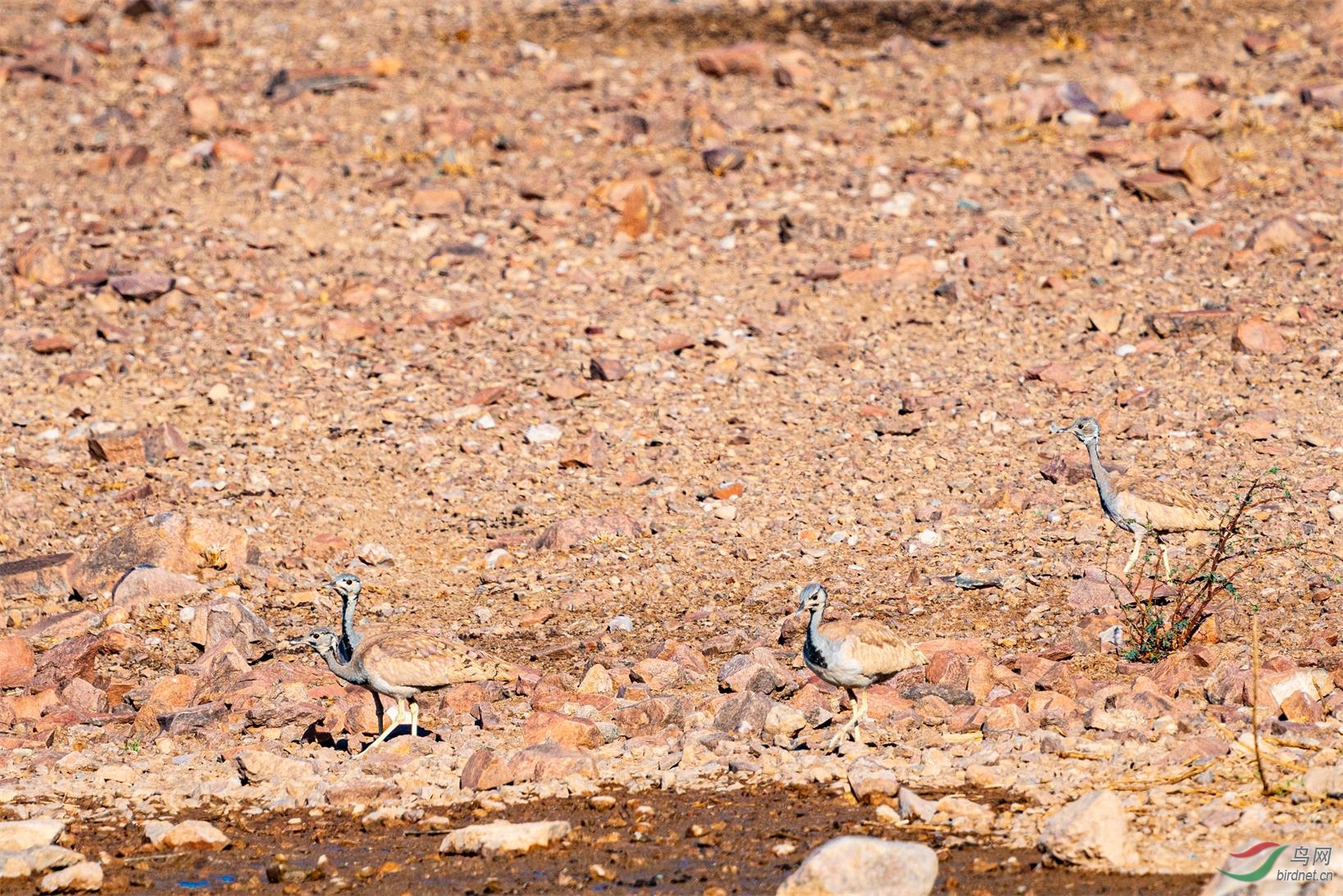 _DSC9315.jpg