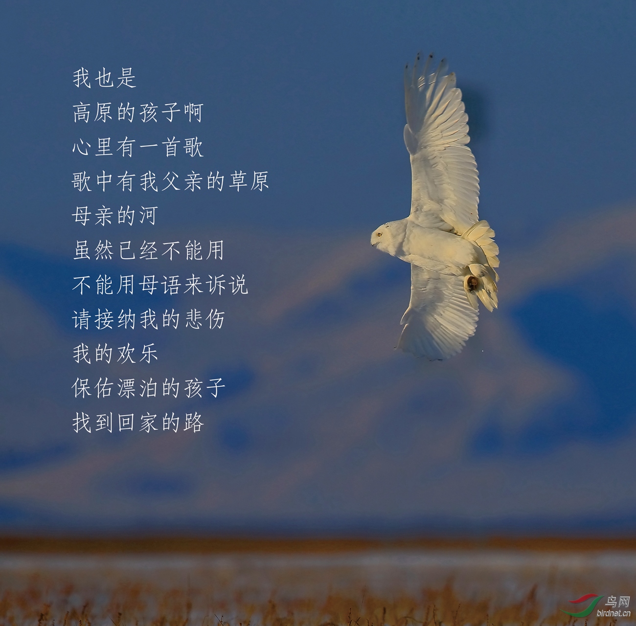 ѩ�^���� -8.jpg