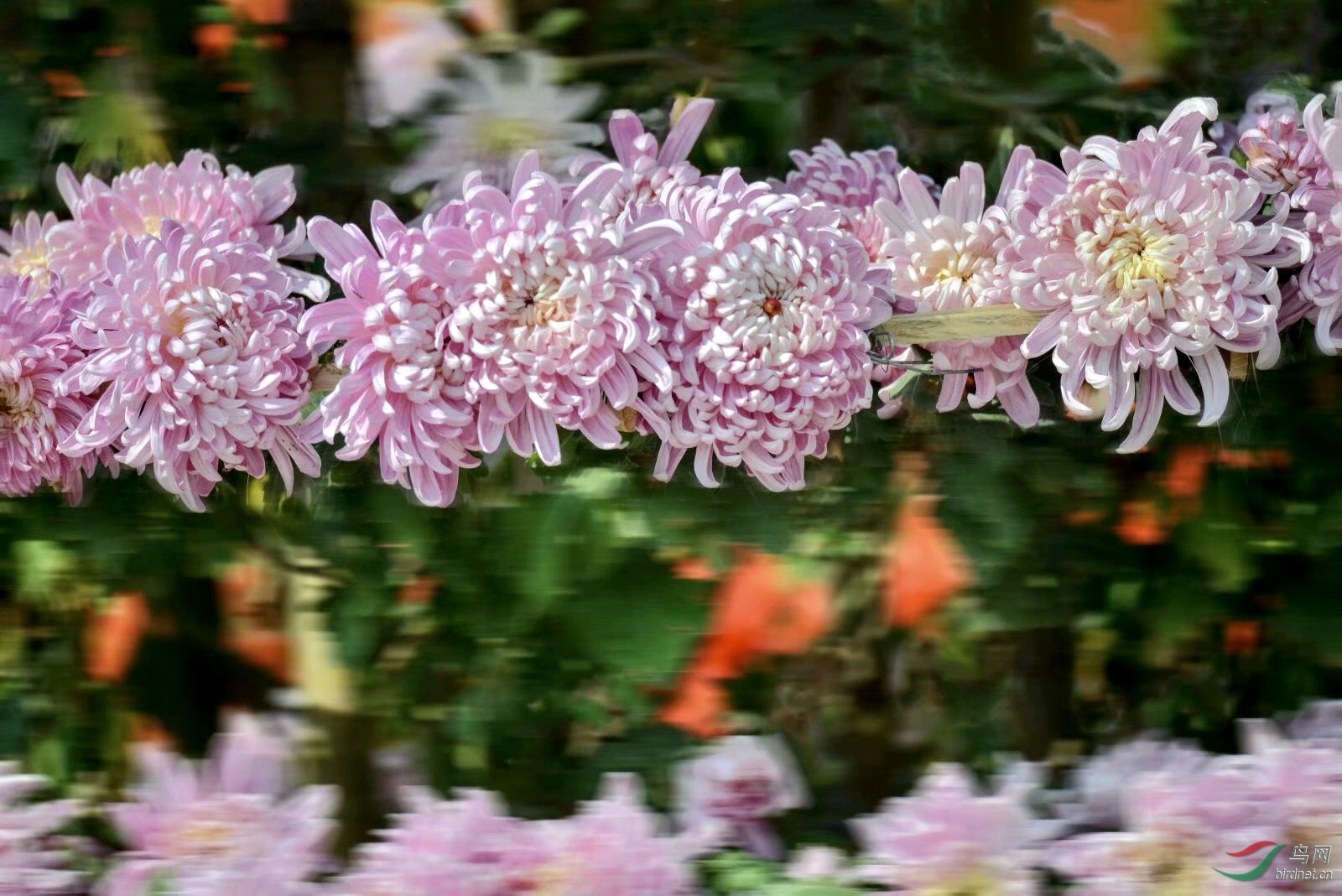 324CE540-7C95-4894-BE87-FF1D8894C54D.jpeg