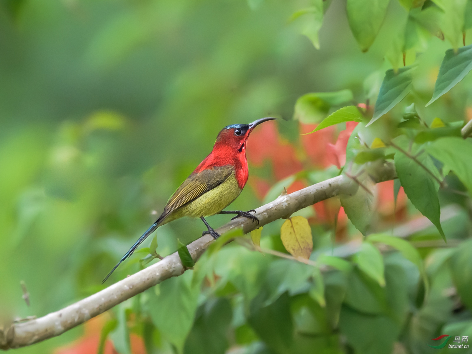 DSC_7549.jpg