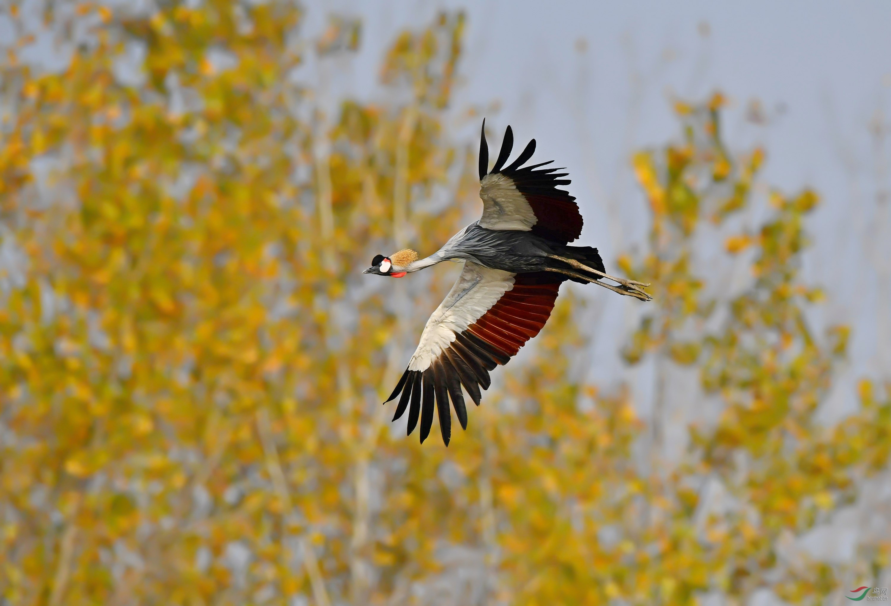 DSC_3793.jpg