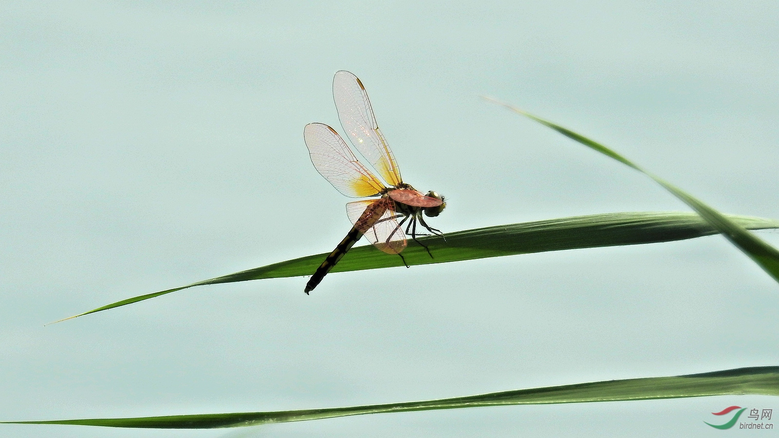 DSCN2803.JPG