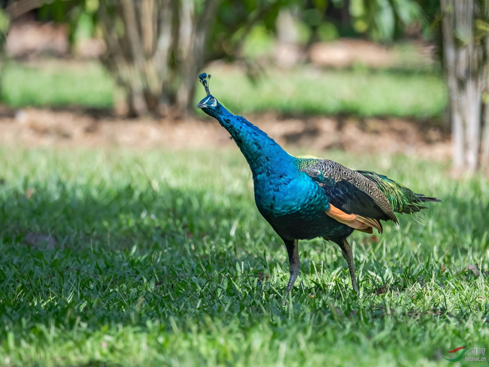 DSC_9321.jpg