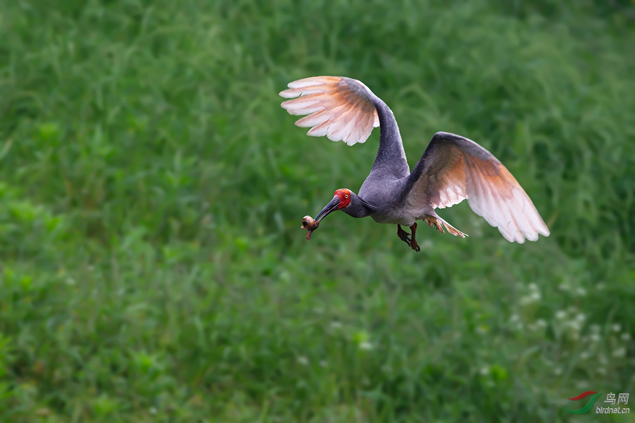 _50Y7435-1.jpg