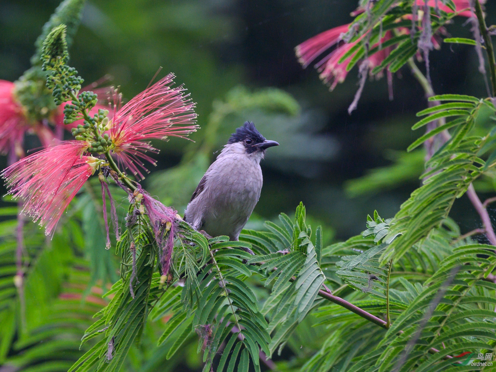 DSC_8017.jpg