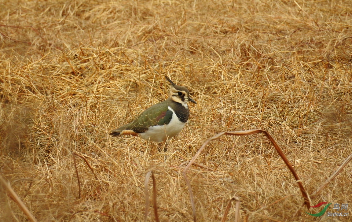 DSCN5637.JPG