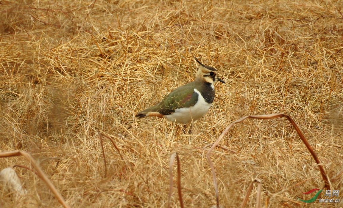 DSCN5631.JPG