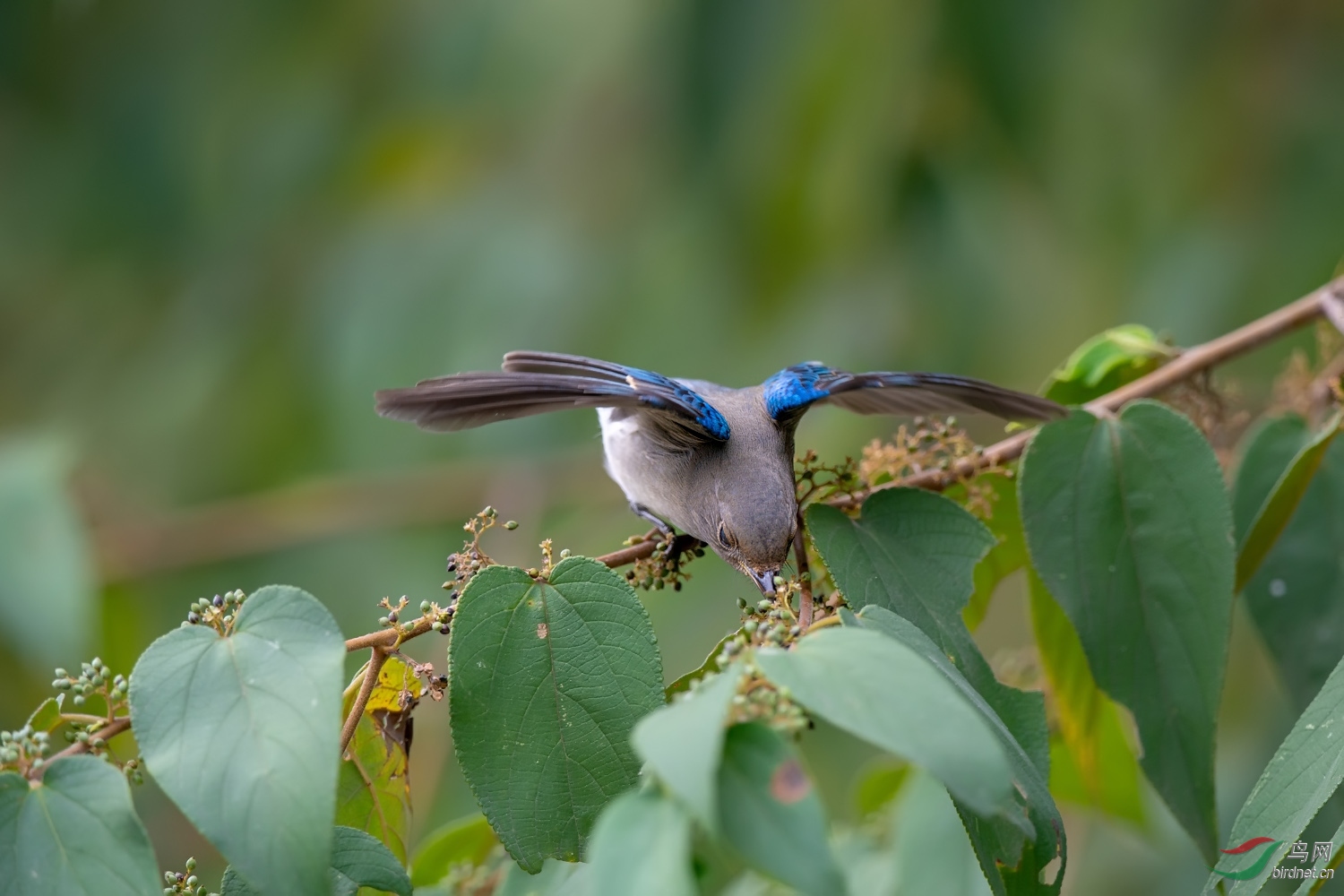 A9D07725a.jpg