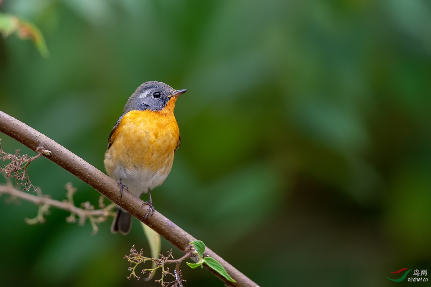 A9D07412a.jpg