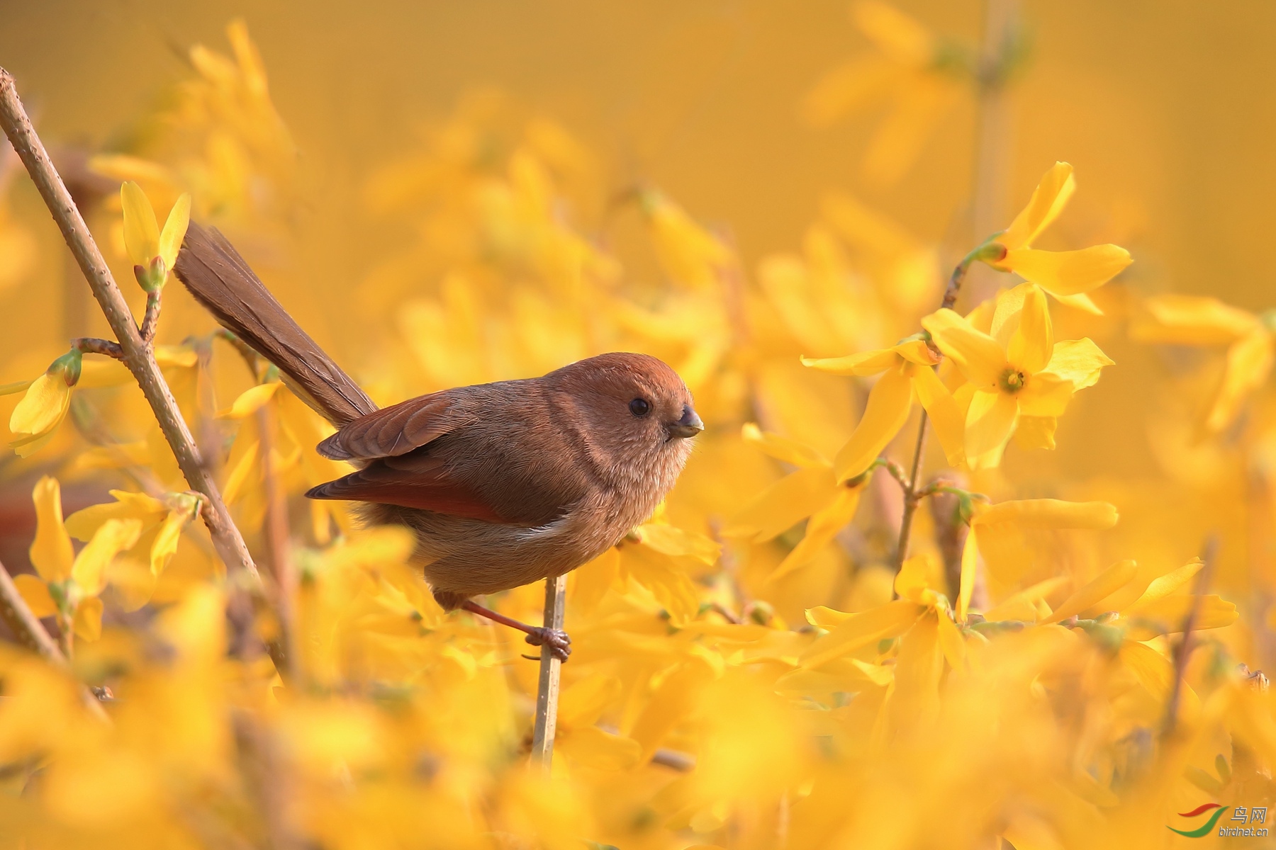 AD0K9332.jpg