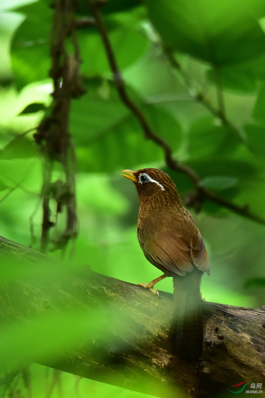 DSC_0288.JPG