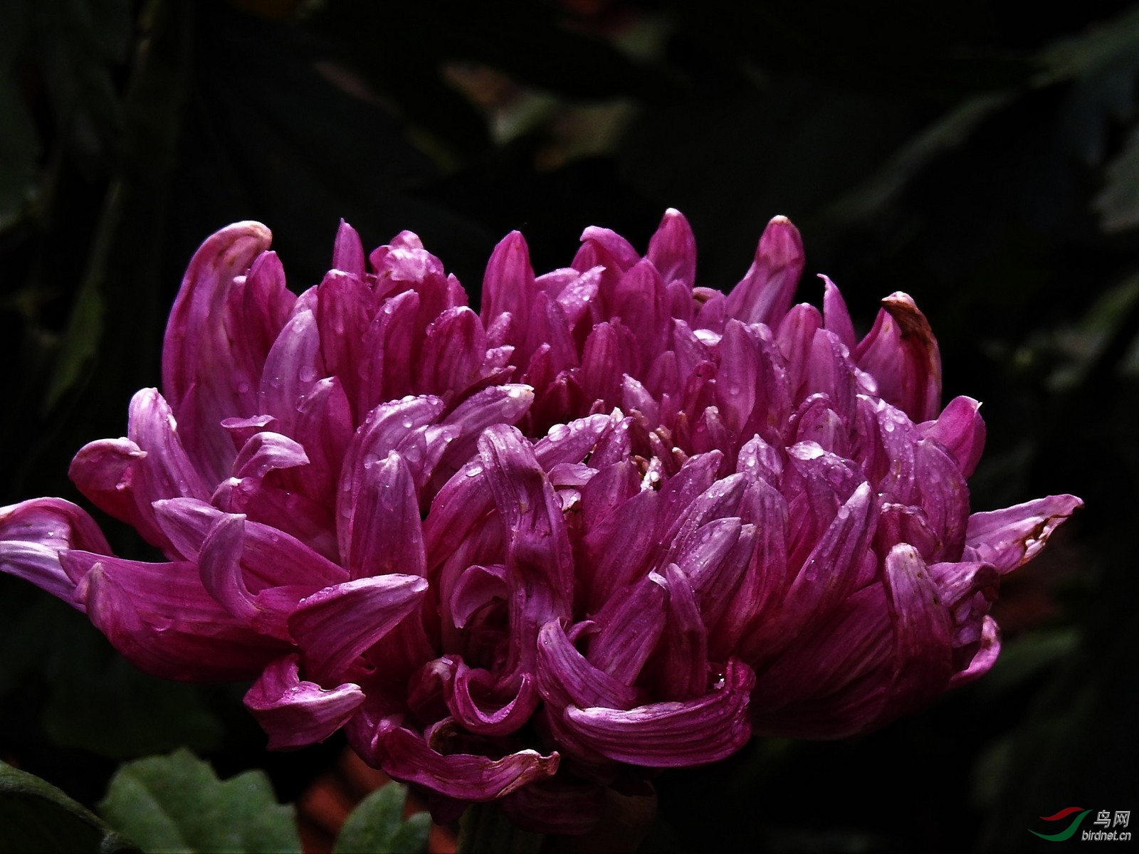DSCN3137.JPG