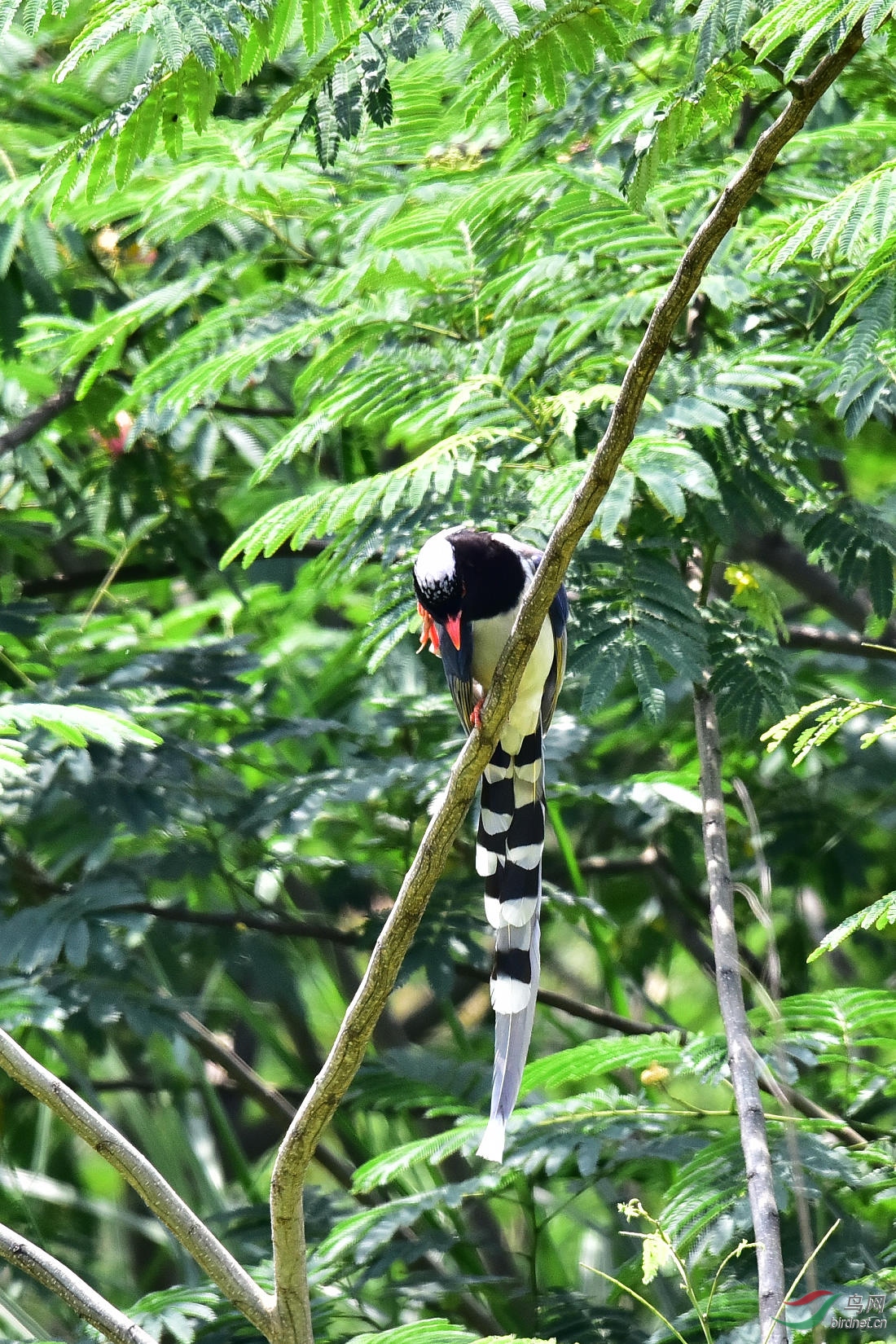DSC_0710.JPG