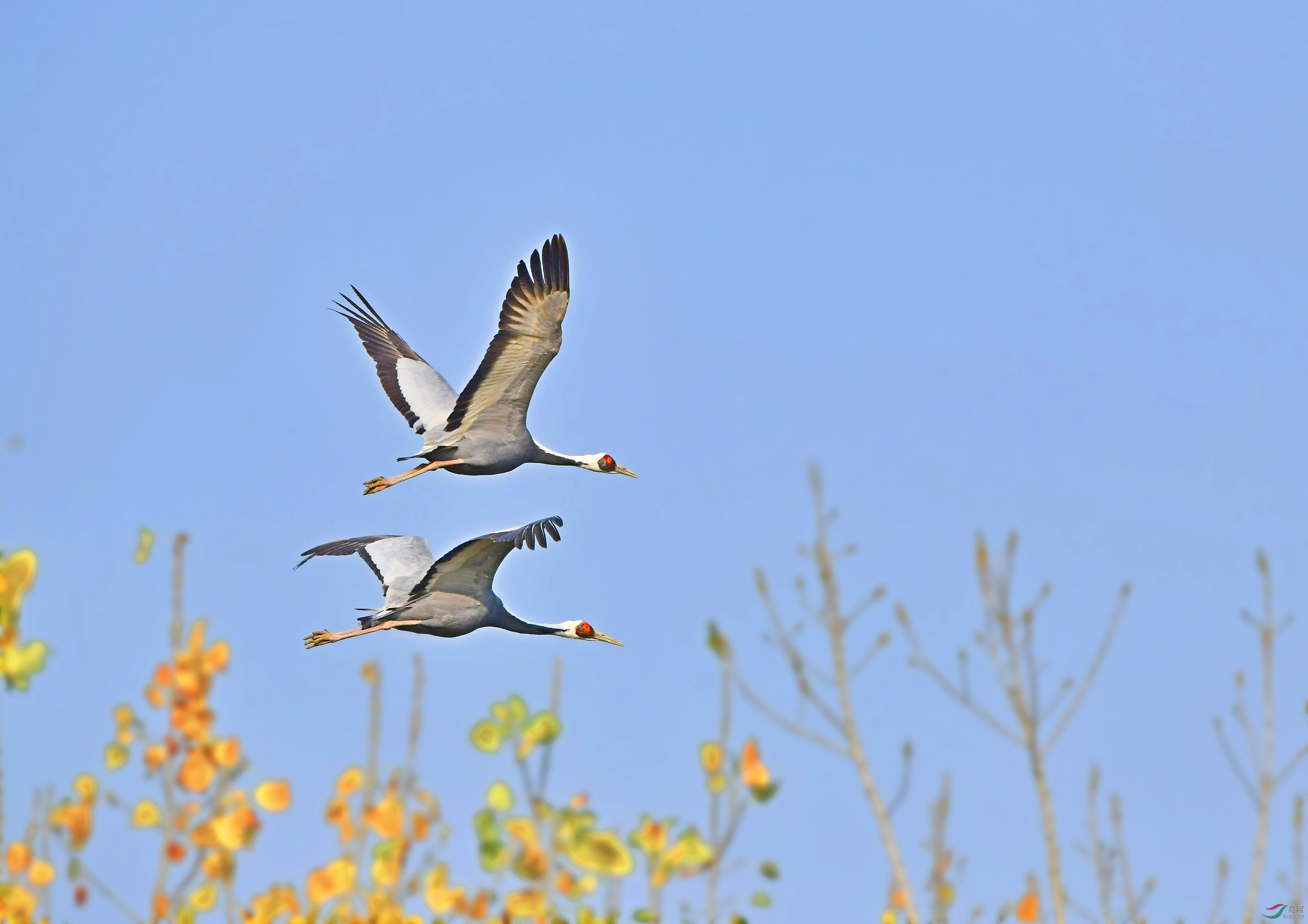 DSC_3854.jpg