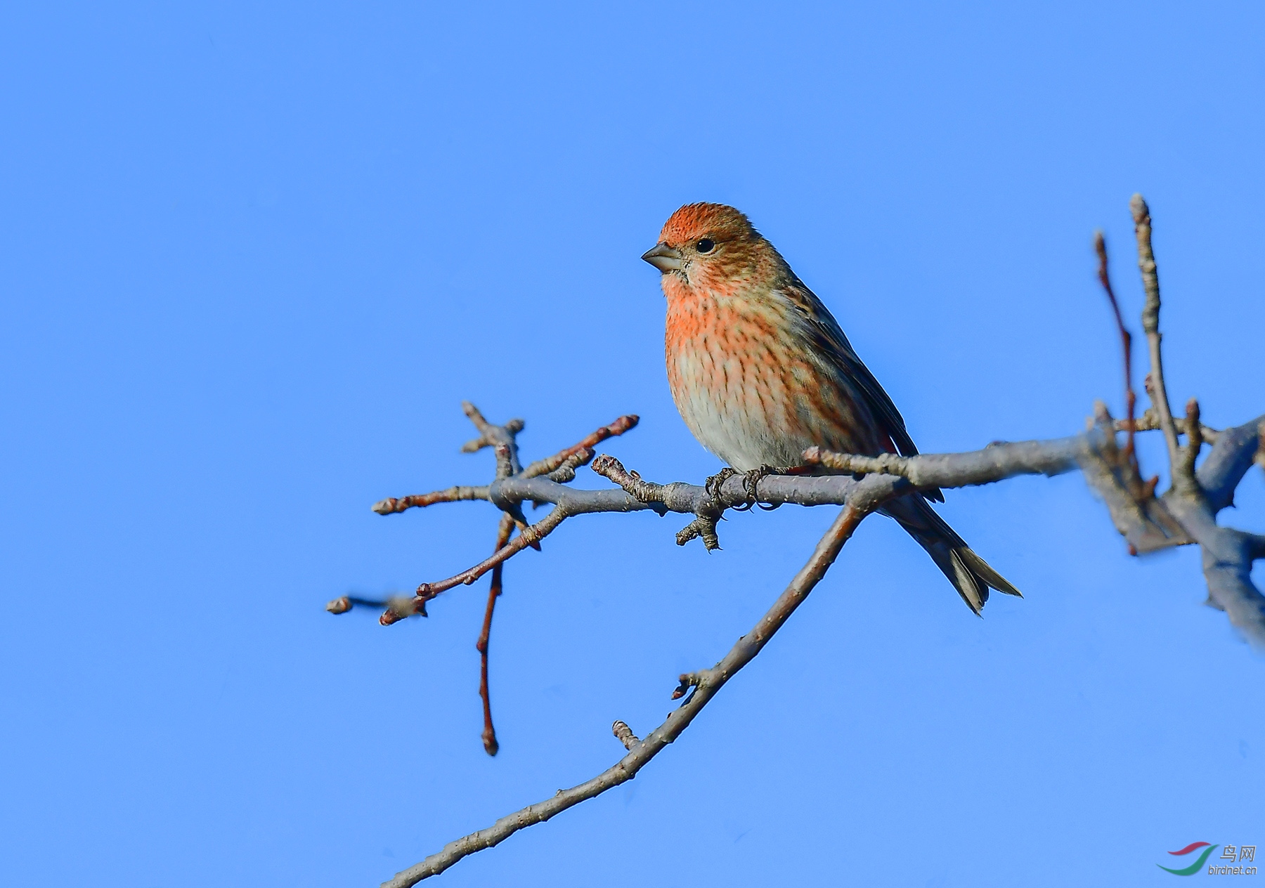 DSC_3051.JPG