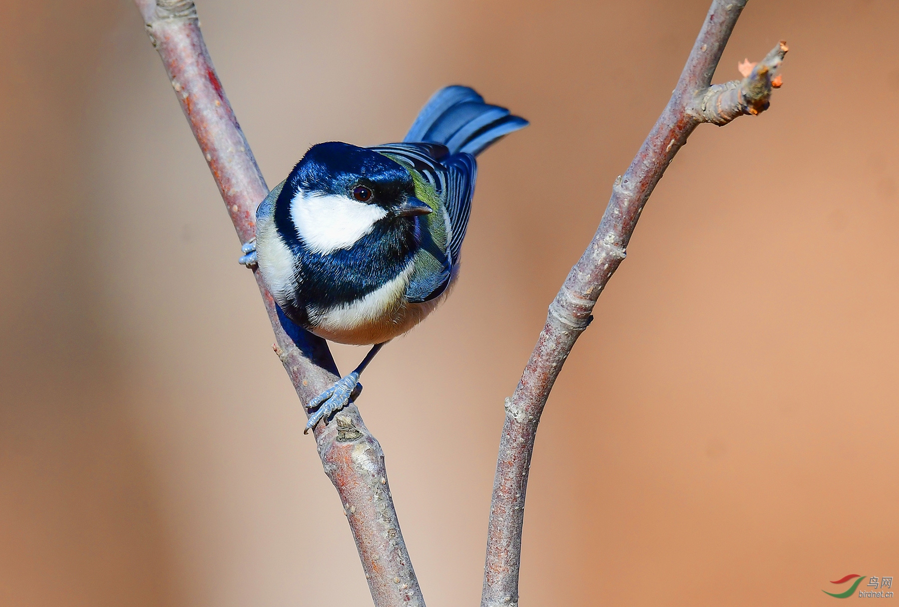 DSC_3685.JPG