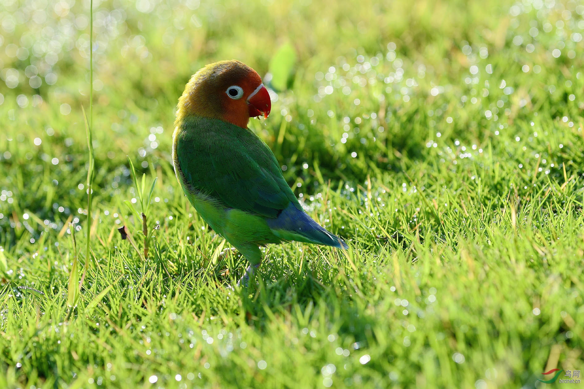 DSC_0573.JPG