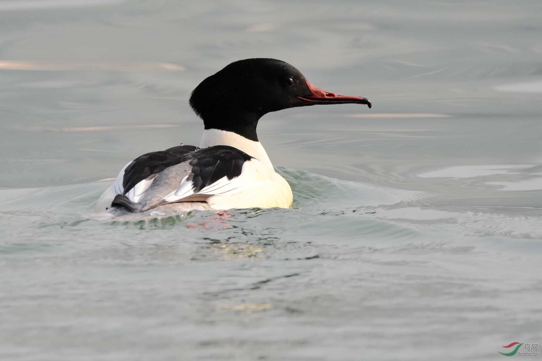 DSC_6760.JPG