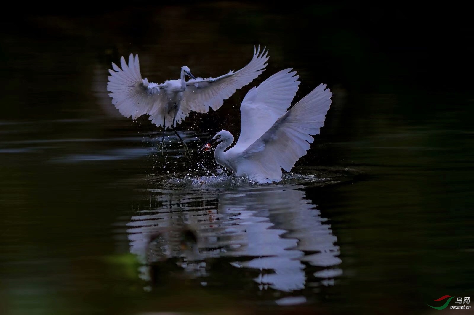 7A3720DE-F1CC-44A0-8D40-2A06B3BD1082.jpeg