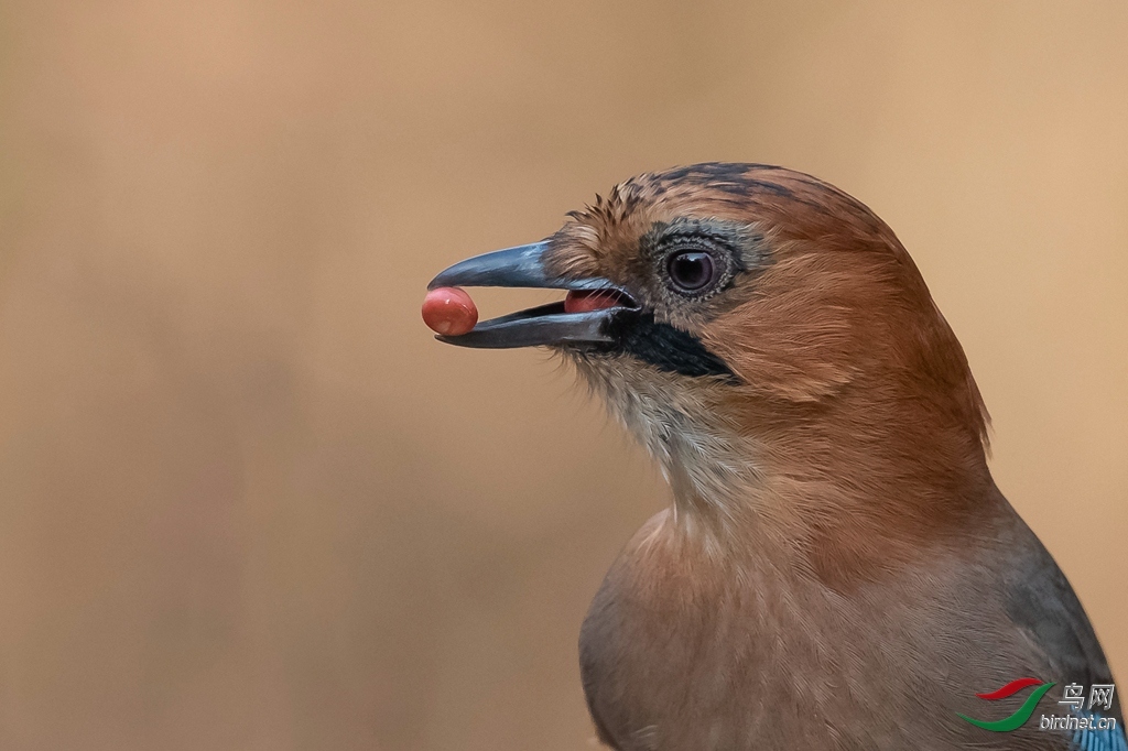 _K8I0128  01_����.jpg