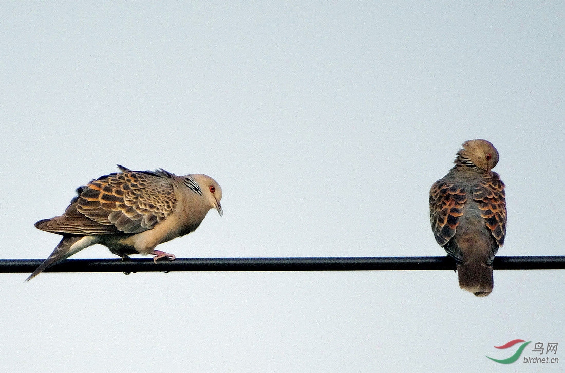 DSC04364.JPG