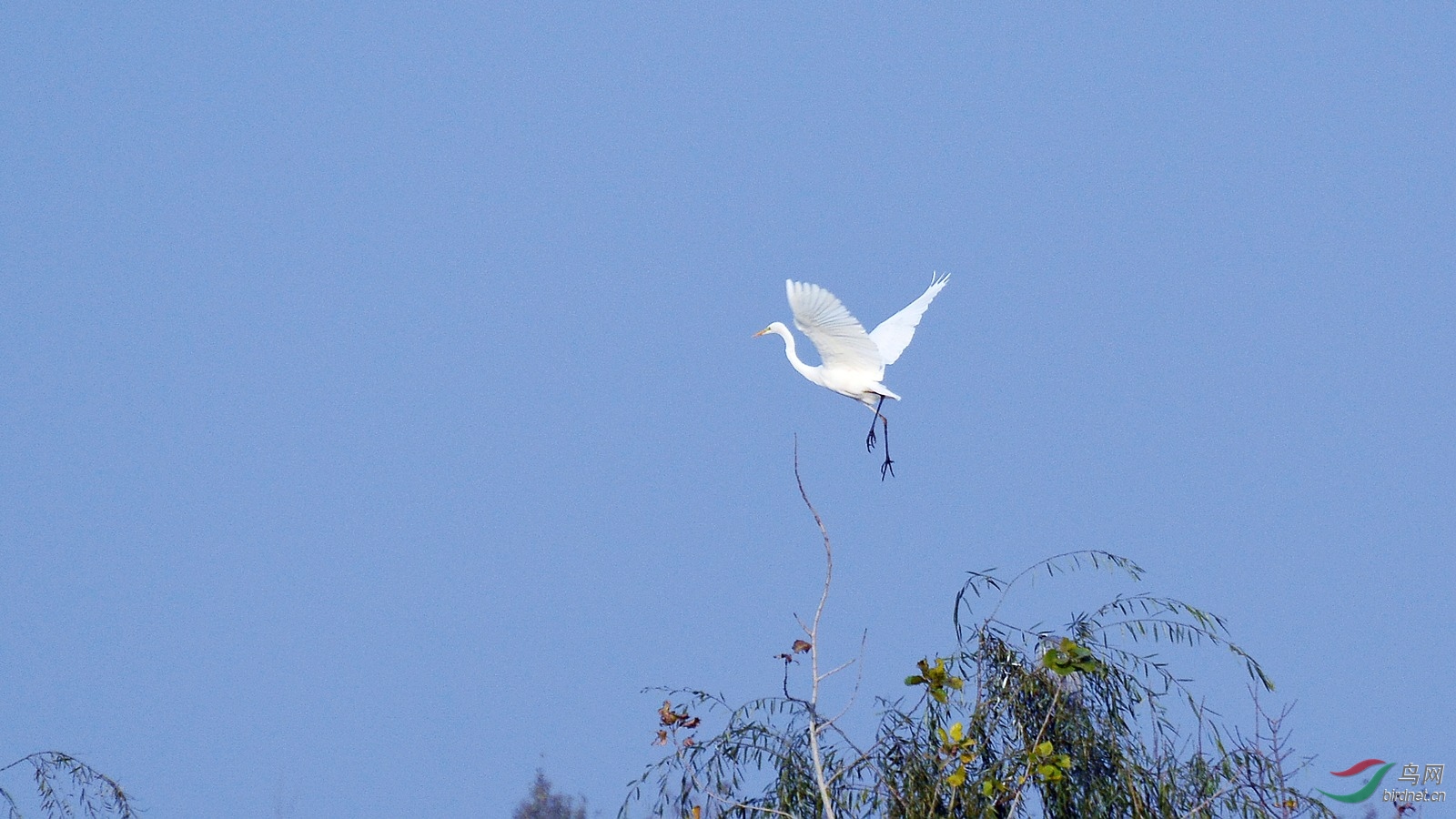 DSC_4307.JPG